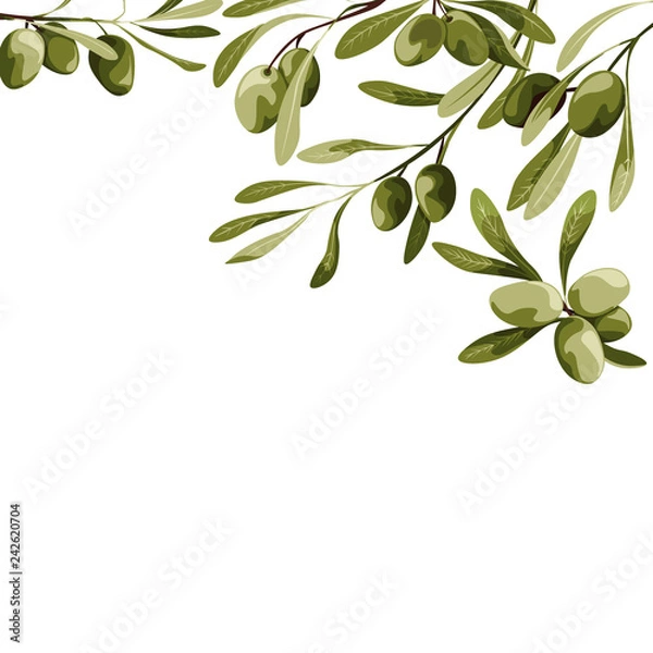 Fototapeta Vector background with olive tree decoration. Vegan food illustration