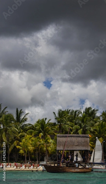 Obraz Rain on an island