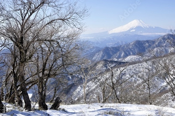 Fototapeta 雪の丹沢山山頂から眺める富士山