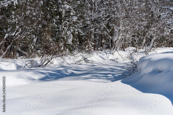 Obraz 雪に埋もれた沢
