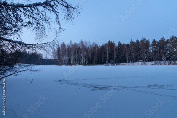 Obraz Winter  forest lake 6