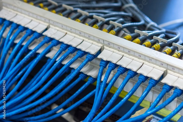Fototapeta Network cabling system, UTP patch panel with cables connected