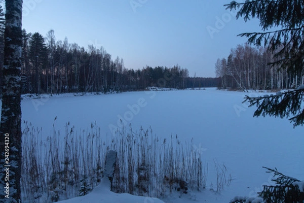 Obraz Winter  forest lake 3