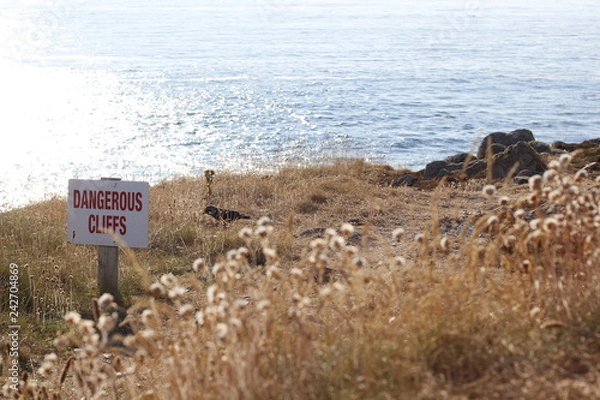 Obraz sign on the beach