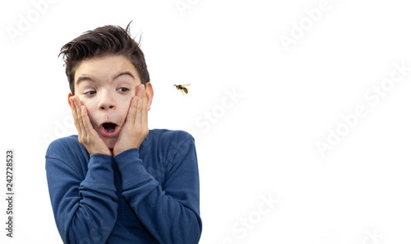 Obraz Chłopiec boi się osy