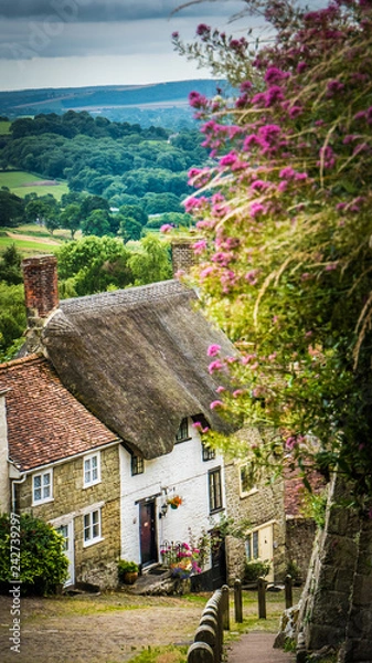 Fototapeta Old English limestone houses with thatched roofs with green fields countryside in the background. Gold Hill houses on a cloudy day behind flowers in Shaftesbury, Dorset, UK. Photo with selective focus