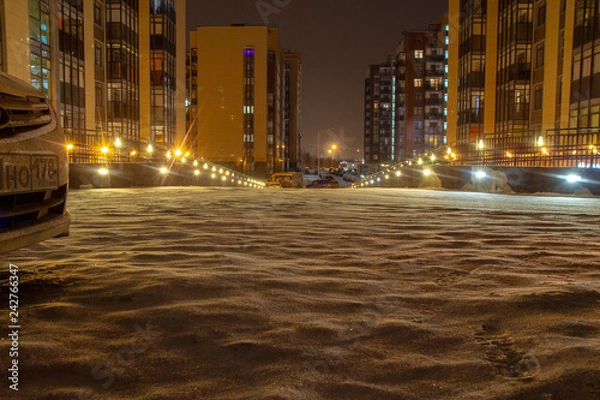 Obraz  Night St. Petersburg