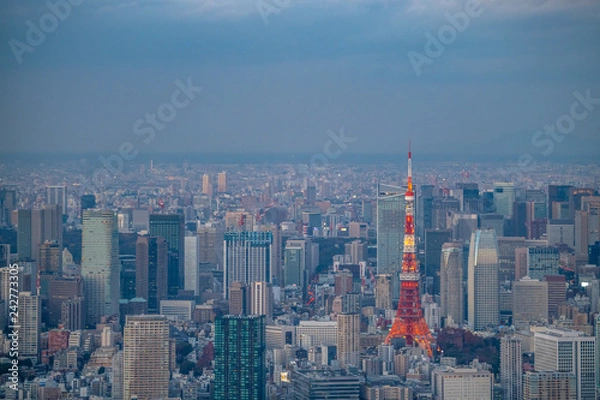 Obraz 東京タワーと街並みの空撮