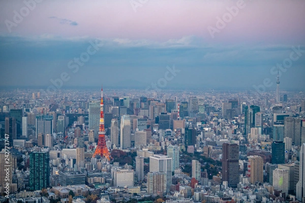 Obraz 東京タワーと東京スカイツリーの空撮