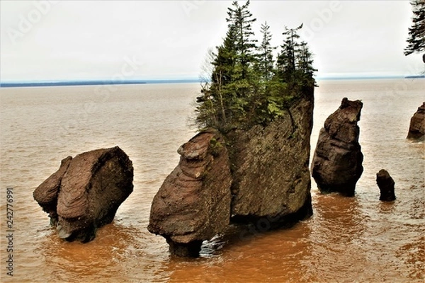 Obraz Hopewell Rocks
