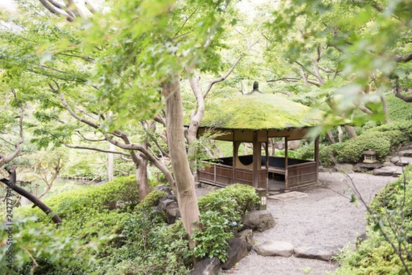 Fototapeta 日本庭園