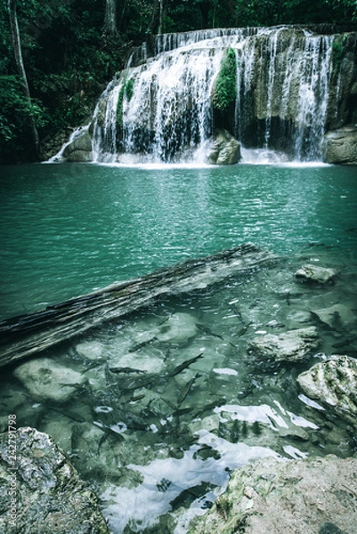 Fototapeta view of a beautiful waterfall in Thailand in a green jungle and clean environment in a moody green tone look surrounded with big trees and clear fresh green water which suggests an eco environment