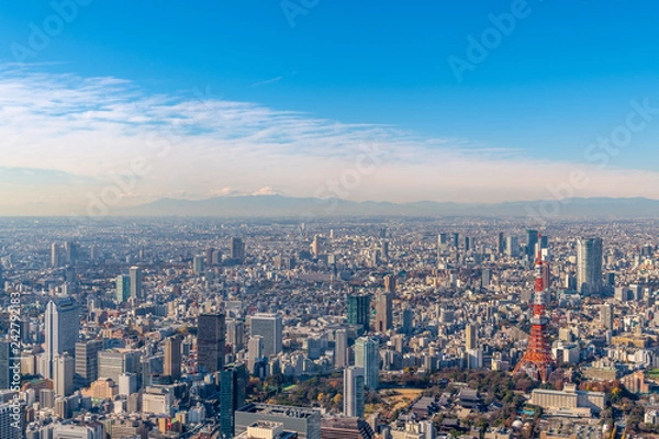 Obraz 東京タワーと富士山の空撮