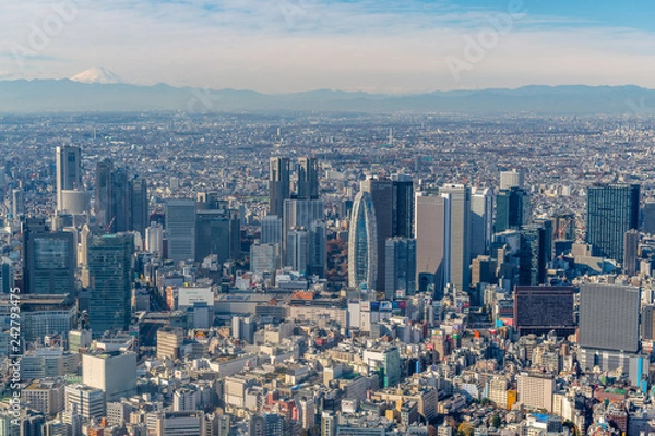 Obraz 新宿摩天楼と富士山の空撮
