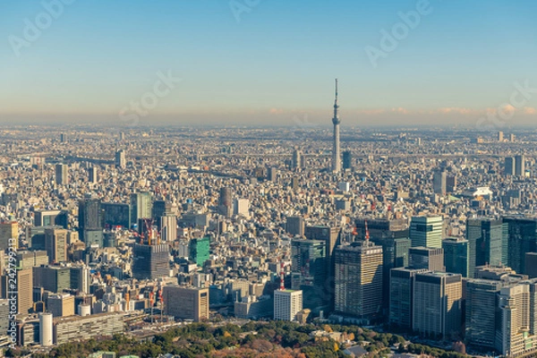 Obraz 東京スカイツリーと都心の空撮