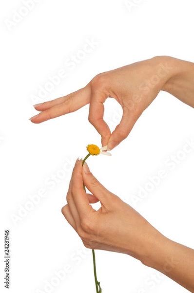 Fototapeta love divination