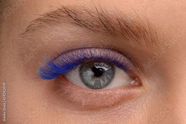 Obraz eyelash extensions. blue eyelashes. eye close up
