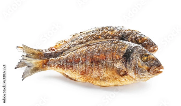 Obraz Grilled dorado fish on white background