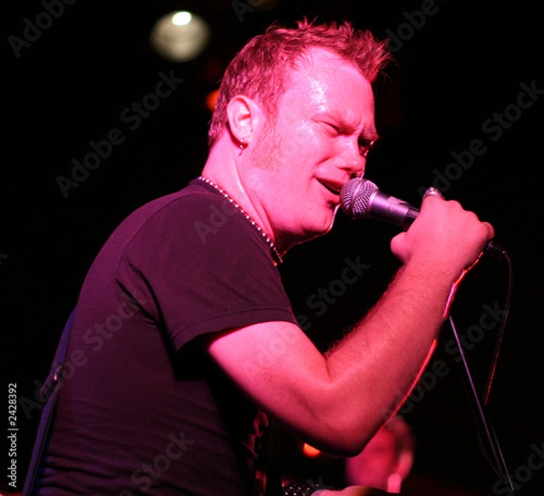 Obraz rockstar singing on stage