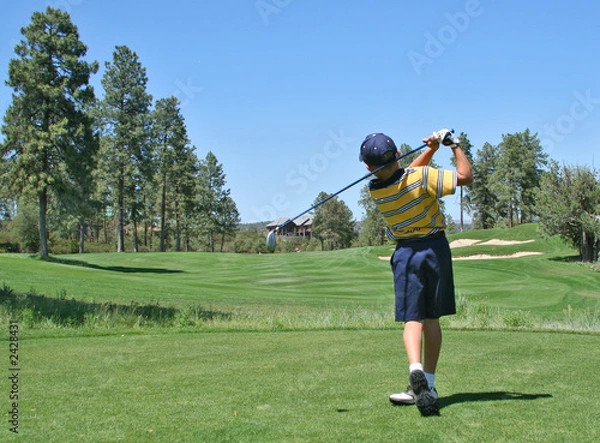 Obraz young golfer hitting a nice tee shot