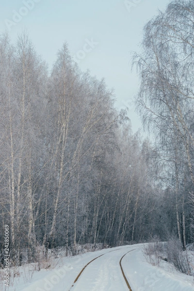 Obraz railway in the forest