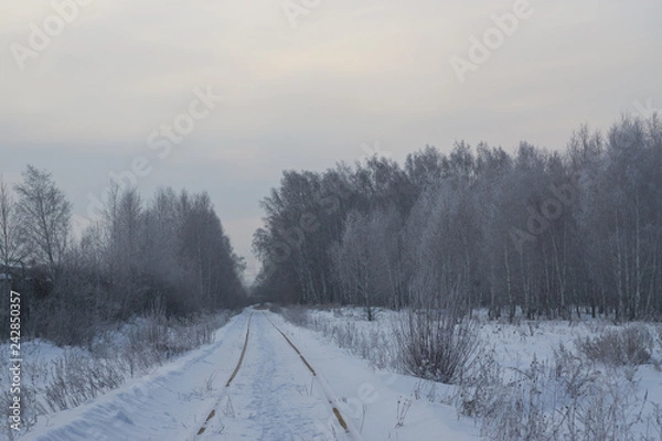 Obraz railway in the forest