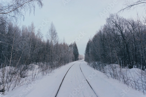 Obraz railway in the forest