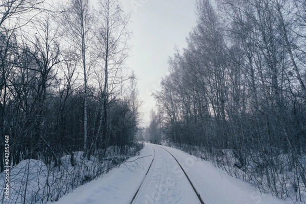 Obraz railway in the forest
