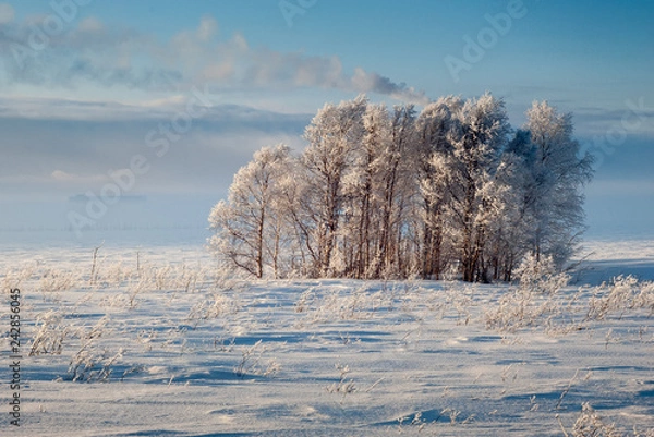 Fototapeta winter, snow