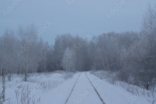 Obraz winter forest in frost