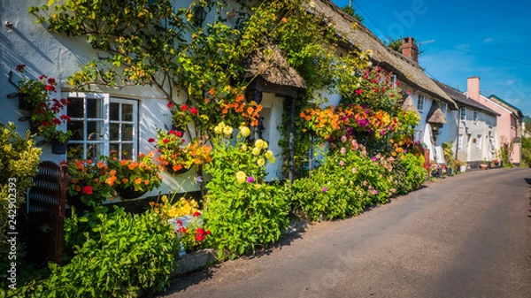 Fototapeta Cute old English house with a thatched roof and flowers in a green hilly landscape on a summer sunny day with blue sky in the UK in a holiday Dorset countryside between Sidmouth and Lyme Regis.