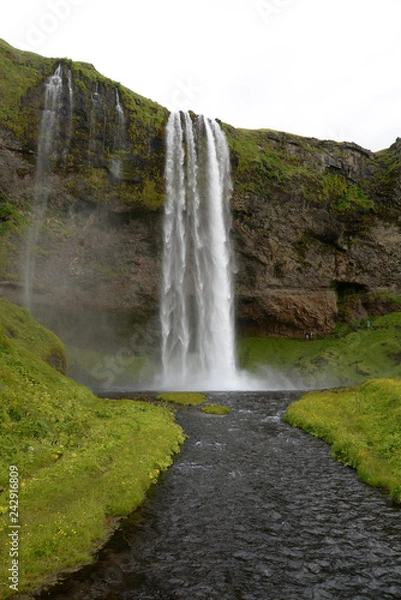 Fototapeta Seljalandsfoss, Island