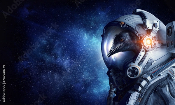 Obraz First trip to space. Mixed media