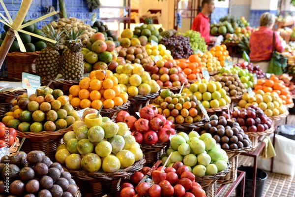 Fototapeta Madere 184