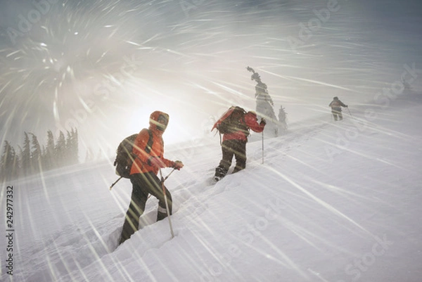 Obraz climbers in mountain snowfall