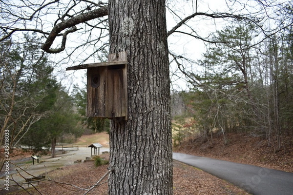 Obraz birdhouse
