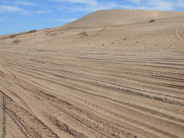 Obraz Atv tracks through the desert