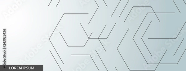 Fototapeta Vector banner design, white background with connect hexagon pattern
