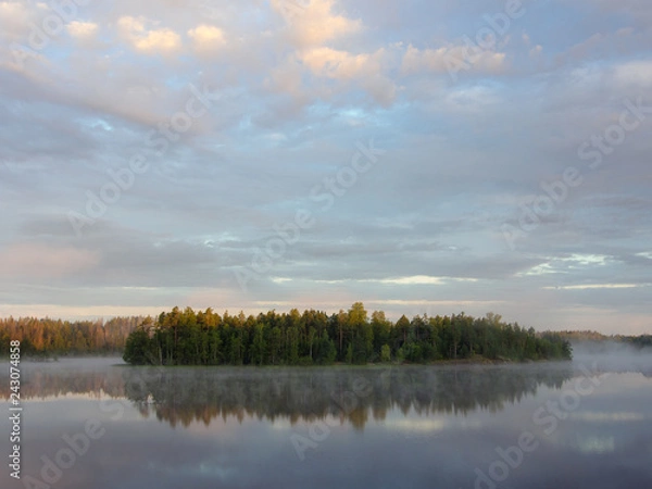 Fototapeta forest lake in summer