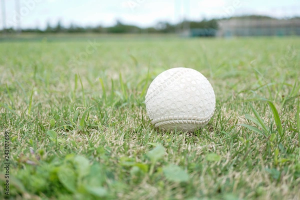 Obraz 天然芝と軟式ボール