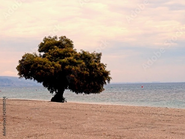 Obraz Roquetas de Mar