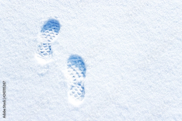 Fototapeta Footprints in deep snow and a tree on horizon. Winter landscape