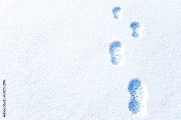 Fototapeta Footprints in deep snow and a tree on horizon. Winter landscape