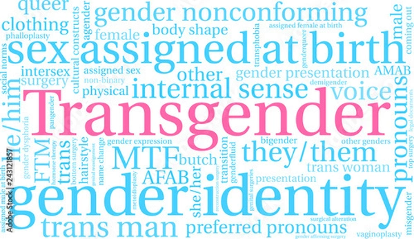 Obraz Transgender Word Cloud on a white background. 