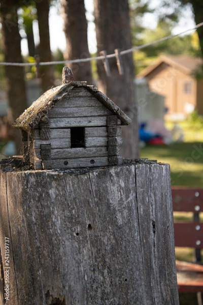 Obraz bird house