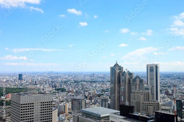 Obraz 東京都新宿からの眺望
