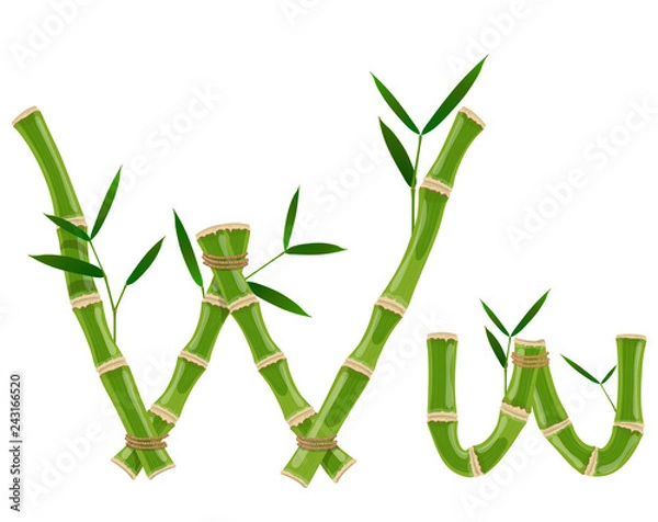 Obraz Bamboo letter W