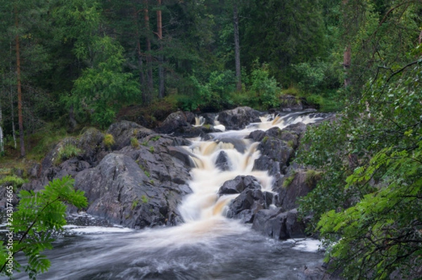 Obraz waterfall in forest