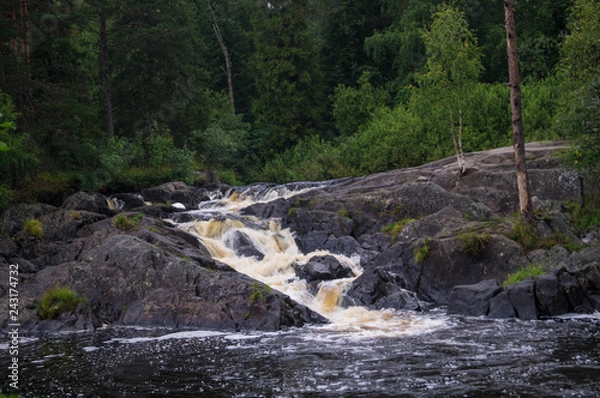 Obraz waterfall in forest