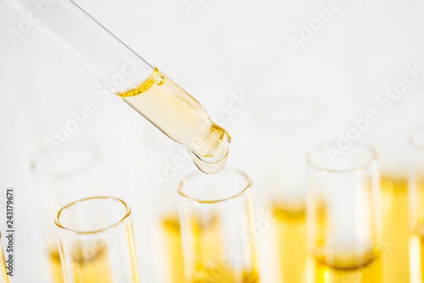 Obraz Pipette und Reagenzgläser mit Flüssigkeit
